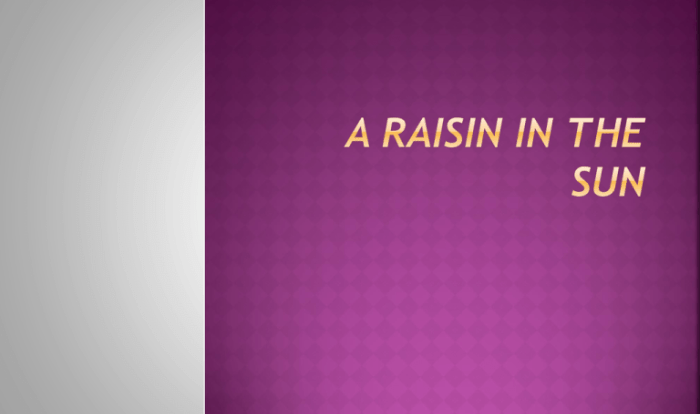 Literary devices in raisin in the sun