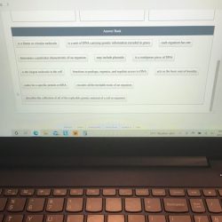 Classify statement each description glycogenolysis glycolysis glycogenesis gluconeogenesis chegg note will statements solved been transcribed text show incorrectly placed appear